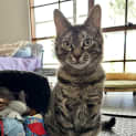 Photo of Seymour