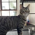 Photo of Seymour