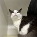 Photo of Honey