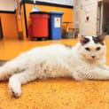 Photo of Wilbur