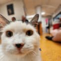 Photo of Wilbur