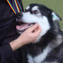 Photo of Tink