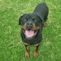 Photo of Tilly