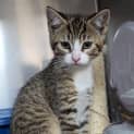 Photo of Theodore