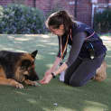 Photo of Axel
