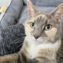 Photo of Yzma