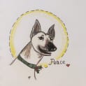 Photo of Peace