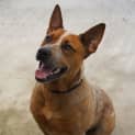 Photo of Jed