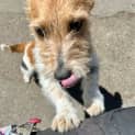 Photo of Smithers