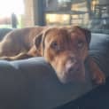Photo of Zeus