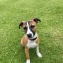 Photo of Remi