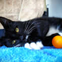 Photo of Oliver