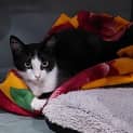 Photo of Klaus