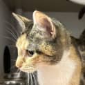 Photo of Moira