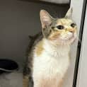 Photo of Moira