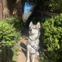 Photo of Lucas