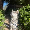 Photo of Lucas
