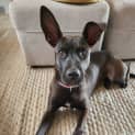 Photo of Shelly
