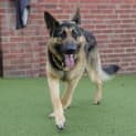 Photo of Zeus