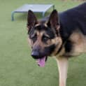 Photo of Zeus