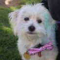Photo of Lucy