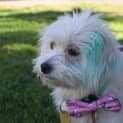 Photo of Lucy