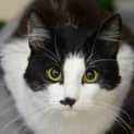 Photo of Mr Moo