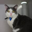 Photo of Finn