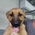 Photo of Lucy