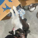 Photo of Marnie
