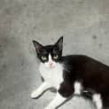 Photo of Marnie