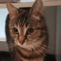 Photo of Jinx