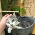 Photo of Tango