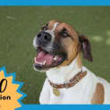 Photo of Tex
