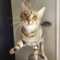 Photo of Malina 
