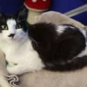 Photo of Mr Moo