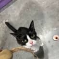 Photo of Marnie
