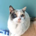 Photo of Kiki