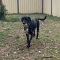 Photo of Dolly Pawton