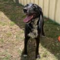 Photo of Dolly Pawton