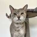 Photo of Princess