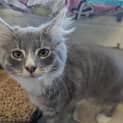Photo of Maggie