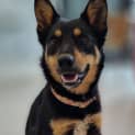 Photo of Lola