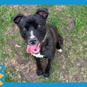 Photo of Draven