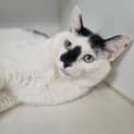 Photo of Bertie