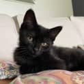 Photo of Athena