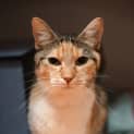 Photo of Moira