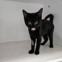Photo of Luna