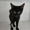 Photo of Luna