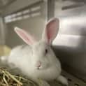 Photo of Kissy